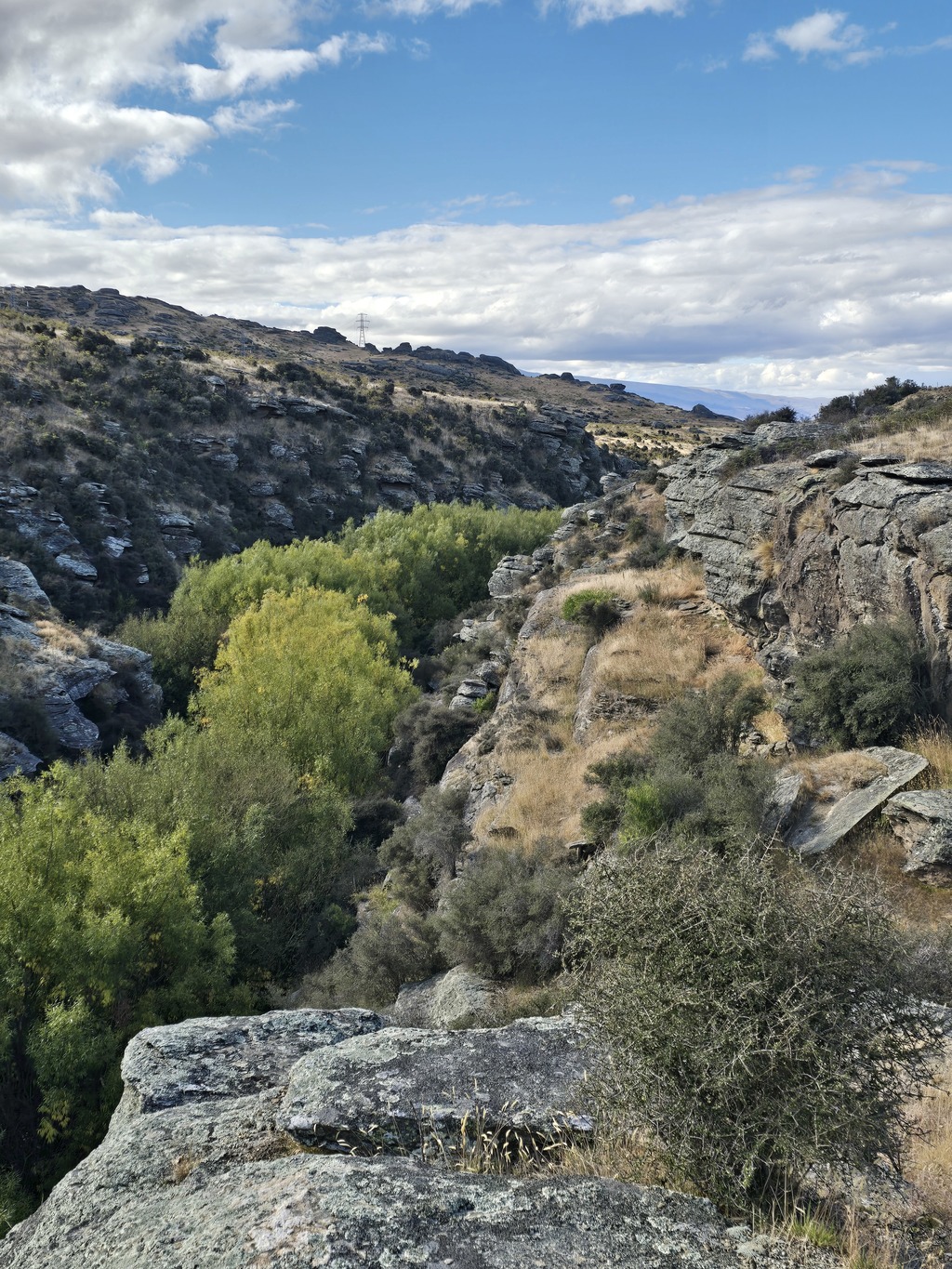 20260309 165930 original