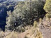 Abel tasman np near harwood hole carpark 2 thumb