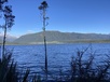 Lake haupiri 2 thumb